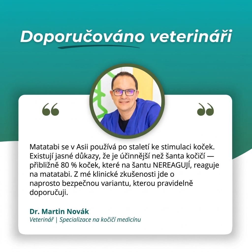 ZubníZázrak – Přírodní Dentální Tyčinky z Matatabi