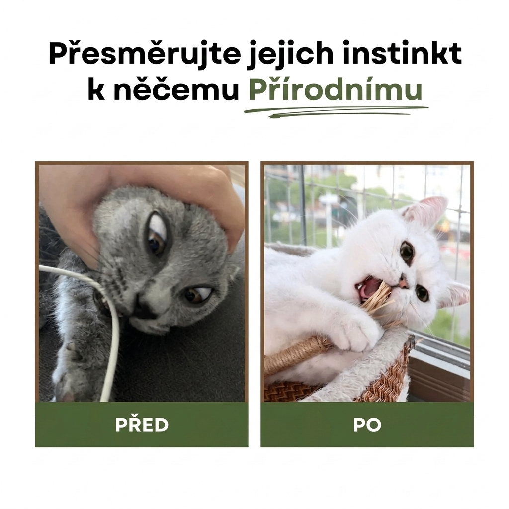 ZubníZázrak – Přírodní Dentální Tyčinky z Matatabi