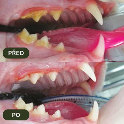 ZubníZázrak – Přírodní Dentální Tyčinky z Matatabi