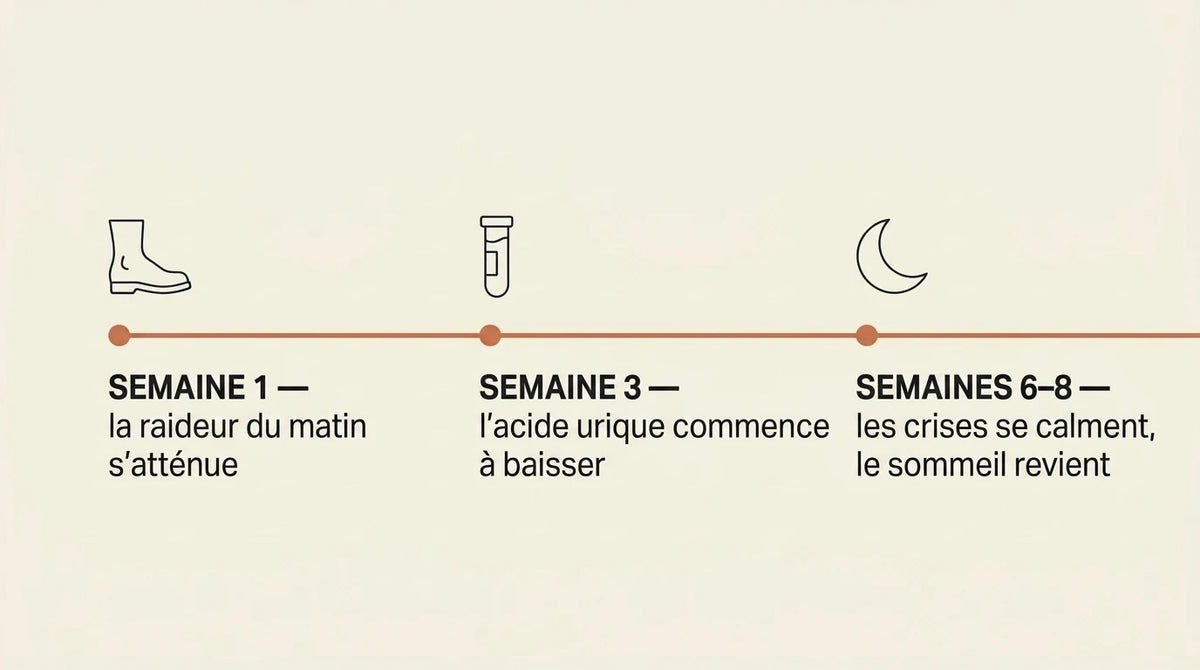 Évolution semaine 1, semaine 3, semaines 6 à 8